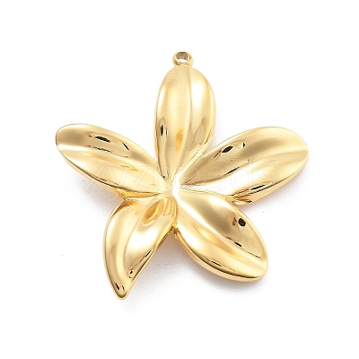 304 Stainless Steel Pendants STAS-R155-045G-05-1