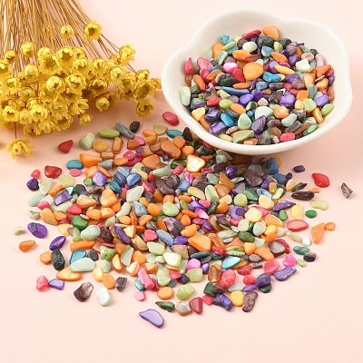 50G Dyed Natural Freshwater Shell Chip Beads BSHE-YW0001-04-1