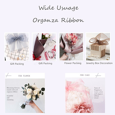 Organza Ribbon RS6mmY012-1
