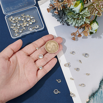 50Pcs Alloy Micro Pave Cubic Zirconia Charms FIND-PH0023-64G-1