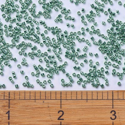 MIYUKI Delica Beads X-SEED-J020-DB0426-1