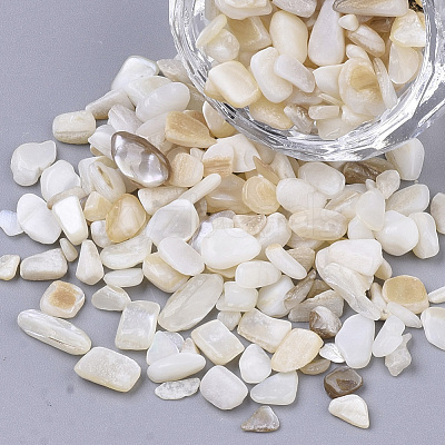 Freshwater Shell Beads X-SHEL-S266-11-1