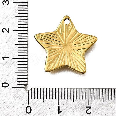 304 Stainless Steel Pendants STAS-Z163-01G-01-1