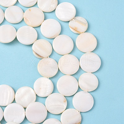 Natural Freshwater Shell Beads S00C20W3-1