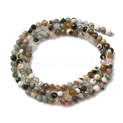 Natural Tree Agate Beads Strands LS-G-RM2025-A40-3mm-1