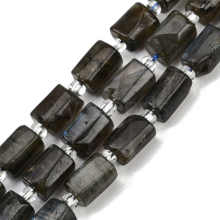 Natural Labradorite Beads Strands G-G162-D13-01-1