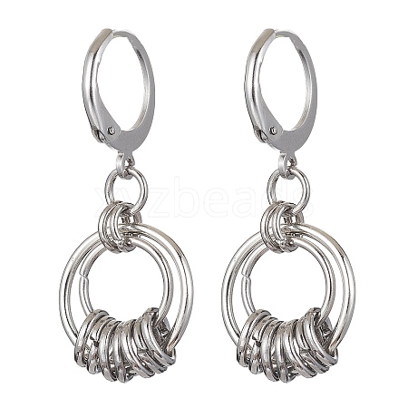 Non-Tarnish 304 Stainless Steel Leverback Earrings for Women EJEW-JE05530-1