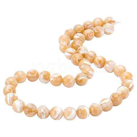 BENECREAT 1 Strand Natural Sea Shell Round Bead Strands SSHEL-BC0001-19-1