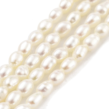 Natural Cultured Freshwater Pearl Beads Strands PEAR-P062-22-1