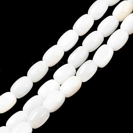 Natural Freshwater Shell Beads Strands SHEL-R129-02-1