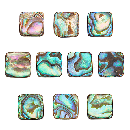 CHGCRAFT 10Pcs Natural Abalone Shell/Paua Shell Cabochons SSHEL-CA0001-05-1