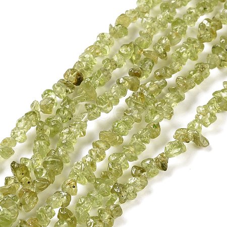 Natural Peridot Beads Strands G-P332-48-01-1