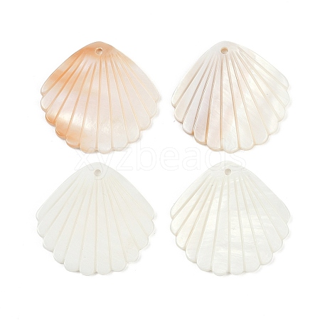 Natural Freshwater Shell Pendants SHEL-K006-45B-1