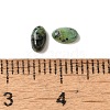 Natural African Turquoise(Jasper) Cabochons G-F772-01A-14-3