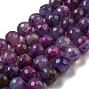 Faceted Natural Fire Crackle Agate Beads Strands G-F447-12mm-N01-1