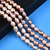Natural Cultured Freshwater Pearl Beads Strands PEAR-N014-08C-6
