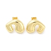 Rack Plating Brass Stud Earring EJEW-C078-10G-2