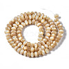 Natural Trochid Shell/Trochus Shell Beads Strands SSHEL-S266-017B-2