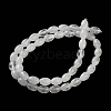 Natural Quartz Crystal Beads Strands G-I369-B17-01-3