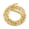 Natural Trochus Shell Beads Strands BSHE-S304-09A-2