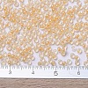 MIYUKI Round Rocailles Beads X-SEED-G007-RR0202-4