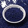 MIYUKI Round Rocailles Beads X-SEED-G008-RR4493-2