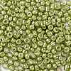 6/0 Glass Seed Beads SEED-A017-4mm-1112-2