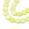 Freshwater Shell Beads Strands SHEL-T009-B16-01-3