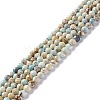 Natural Imperial Jasper Beads Strands G-L578-A03-1