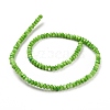 Natural Freshwater Shell Beads Strands SHEL-H002-04-3