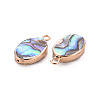 Electroplated Natural Abalone Shell/Paua Pendants SSHEL-T014-22-3