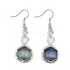 Hexagon Natural Fluorite Dangle Earrings EJEW-K298-01P-10-4