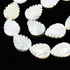 Natural Trochid Shell/Trochus Shell Beads Strands SSHEL-N034-136A-01-3