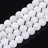 Natural Rainbow Moonstone Beads Strands G-S150-64-9mm-1