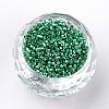 Plated Glass Bugle Beads SEED-R043-08-2