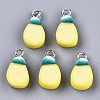 Handmade Polymer Clay Charms CLAY-T016-60-1