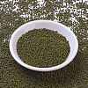 MIYUKI Round Rocailles Beads X-SEED-G010-RR4519-2