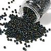 TOHO 6/0 Round Beads SEED-TR06-0084-1