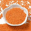 Baking Paint Glass Seed Beads SEED-P006-03A-05-2