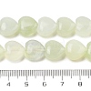 Natural New Jade Beads Strands G-H005-C16-02-5