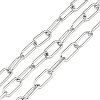 Tarnish Resistant 304 Stainless Steel Paperclip Chains CHS-F012-05P-1