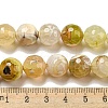 Faceted Natural Fire Crackle Agate Beads Strands G-F447-12mm-H01-5
