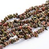 Natural Unakite Chips Beads Strands F020-1