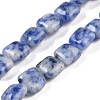 Natural Blue Spot Jasper Beads Strands G-M435-A03-01-1