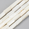 Natural Freshwater Shell Beads Strands X-SSHEL-R048-006B-1