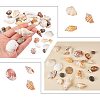 Mixed Natural Shell Bead Sets BSHE-PH0003-03-6