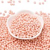 6/0 Glass Seed Beads SEED-L011-08A-25-2