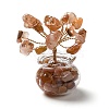 Natural Carnelian Chips Tree Decorations DJEW-Z007-02C-1