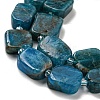 Natural Apatite Beads Strands G-Z043-A03-01-4