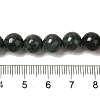 Natural Black Jade Beads Strands X-G-H067-A03-6MM-5